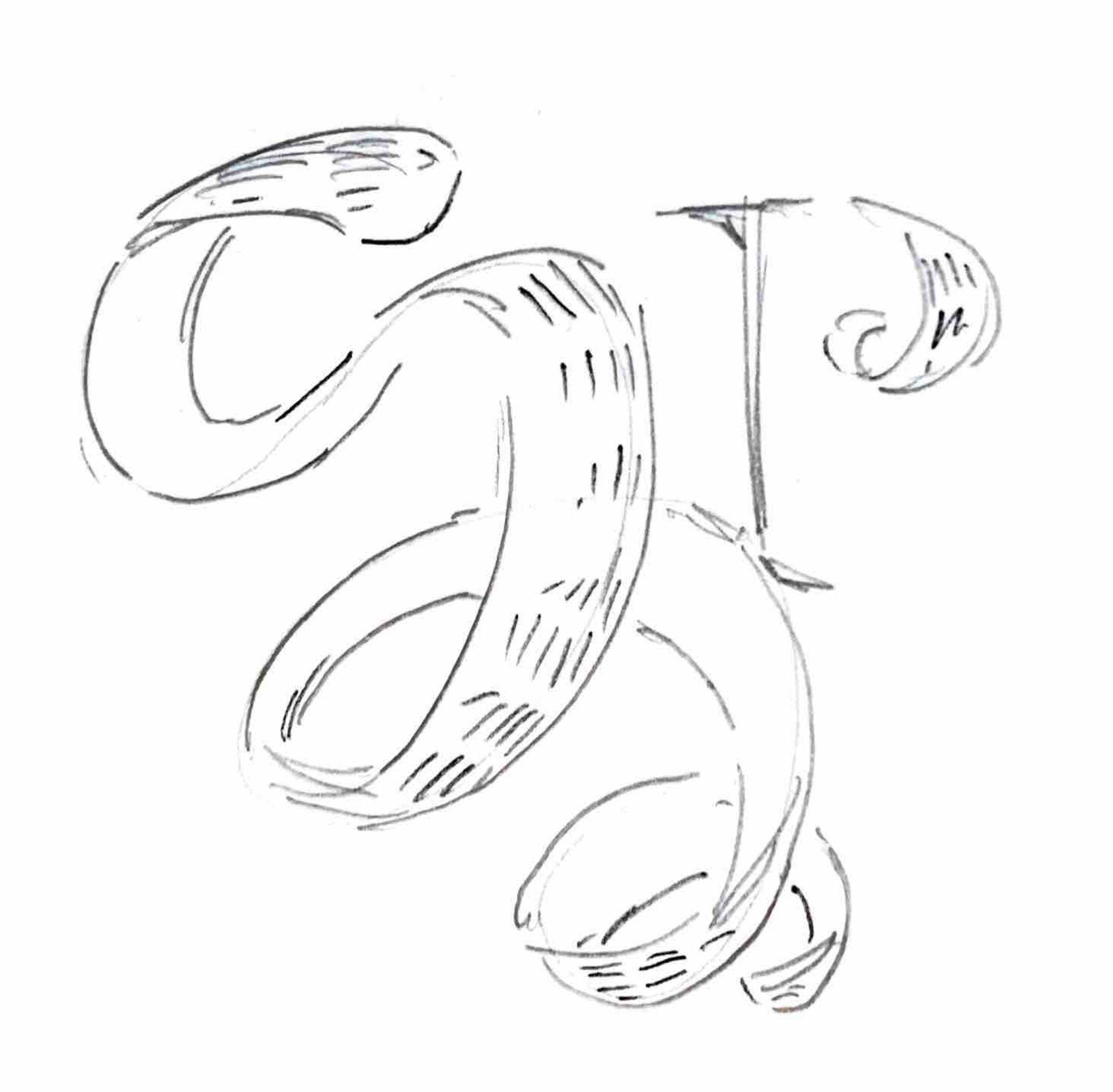 A rough sketch of a logo, including an orange peel and the letter "P".